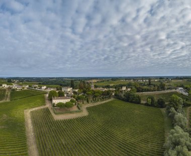Havadan görünümü Bordeaux üzüm bağı, gündoğumu, dron yaz, Entre deux mers, Langoiran tarafından film