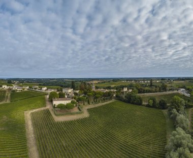 Aerial view Bordeaux Vineyard at sunrise,film by drone in summer, Entre deux mers, Langoiran clipart