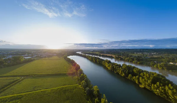Bordeaux üzüm bağı, Fransa 'nın güneybatısında manzara üzüm bağı, Avrupa