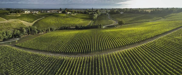 Vista Aérea Bordeaux Vineyard Amanecer Película Drone Verano Entre Deux —  Fotos de Stock