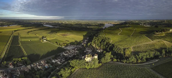 Havadan görünümü Bordeaux üzüm bağı, gündoğumu, dron yaz, Entre deux mers, Langoiran tarafından film