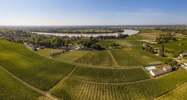 Aerial wiev Fronsac Vineyard landscape, Vineyard south west of France, Europe
