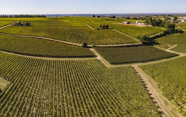 Letecký Pohled Bordeaux Vinice Saint Emilion Aquitaine Rozlohy Departementu Gironde — Stock fotografie