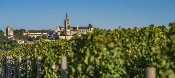 Vacker Soluppgång Byn Saint Emilion Vingård Gironde Frankrike Europa — Stockfoto