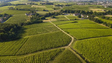 Aerial view, Bordeaux vineyard, landscape vineyard south west of france, europe clipart