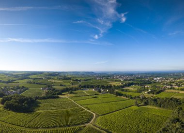 Havadan görünümü, Bordeaux üzüm bağı, manzara bağ güney batısında Fransa, Avrupa