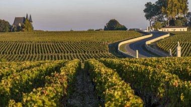 Rota des Chateaux, bağ Medoc, başlangıçtan şarap Emlak Bordeaux Şarap, Fransa