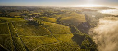 Hava manzaralı Bordeaux Vineyard, Entre deux mers, Langoiran, Gironde, Fransa