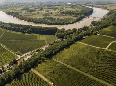 Aerial view Bordeaux Vineyard at sunrise, Entre deux mers, Langoiran, Gironde, France clipart