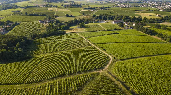 Widok Lotu Ptaka Winnic Bordeaux Winnica Pejzaż Południe Zachód Francji — Zdjęcie stockowe