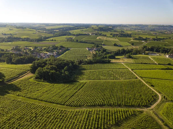 Letecký Pohled Bordeaux Vinice Krajiny Vinic Jižně Francie Evropa — Stock fotografie