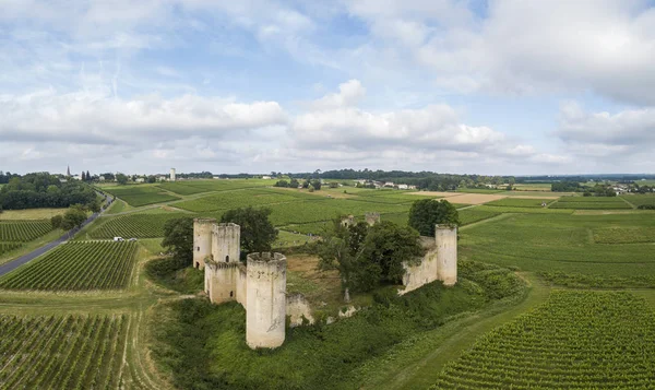 Letecký Pohled Zámek Budos Pšeničné Pole Létě Bordeaux Gironde Akvitánie — Stock fotografie