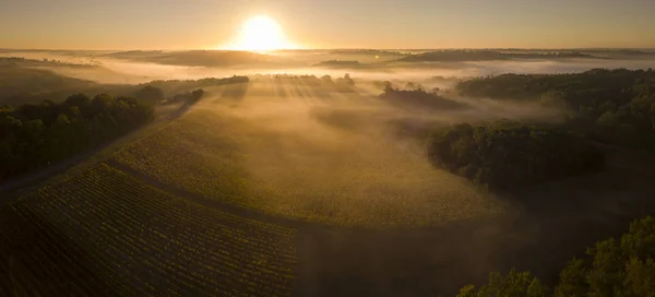 Aerial view, Bordeaux vineyard, landscape vineyard and fog at sunrise south west of france