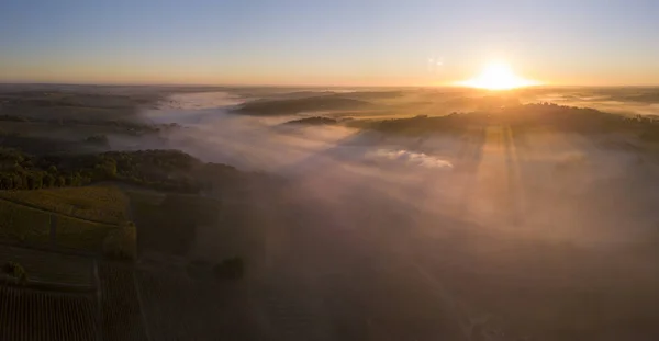 Luftaufnahme Weinberg Von Bordeaux Landschaft Weinberg Und Nebel Bei Sonnenaufgang — Stockfoto