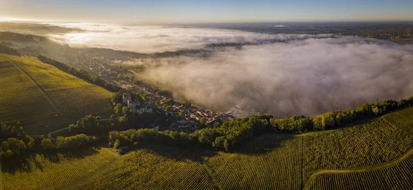 Виноградник Бордо Восходе Солнца Entre Deux Mers Лангойран Жиронда Франция — стоковое фото