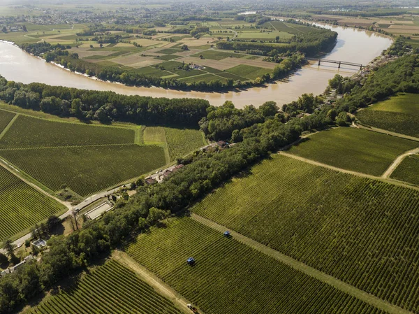 Luchtfoto Bordeaux Wijngaard Bij Zonsopgang Entre Deux Mers Langoiran Gironde — Stockfoto