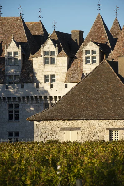 ワイン 歴史的記念碑の城甘い Botrytized ワインは ワイン フランスで行われています — ストック写真