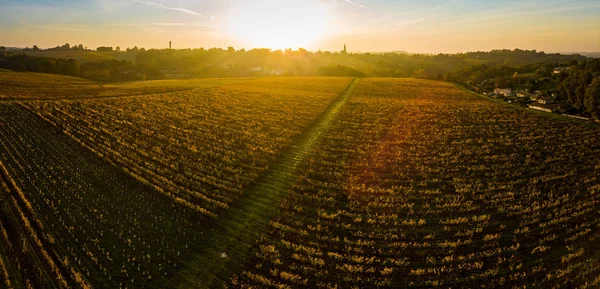 Widok Lotu Ptaka Winnica Sunrise Jesieni Winnic Bordeaux Akwitania Francja — Zdjęcie stockowe
