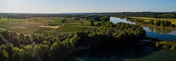 Letecký Pohled Bordeaux Vinice Úsvitu Film Dron Létě Entre Deux — Stock fotografie
