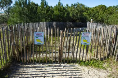 Havadan görünümü, erozyon kıyı şeridi, plajlar, Oceane Beach, Cap Ferret, Fransa yasaktır