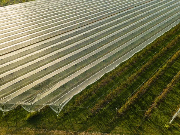 Vista aérea da estufa, agricultura de paisagem — Fotografia de Stock