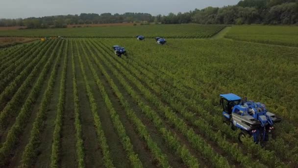 Frankrike, Gironde, september, 26-2019, Mekanisk skörd med fyra maskiner till salu, Aoc Bordeaux, Vineyard Bordelais, Gironde, Aquitaine — Stockvideo