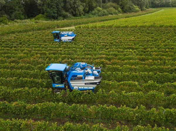 Francia, Gironda, septiembre, 26-2019, cosecha mecánica con cuatro máquinas para la venta, Aoc Bordeaux, Vineyard Bordelais, Gironde, Aquitania — Foto de Stock