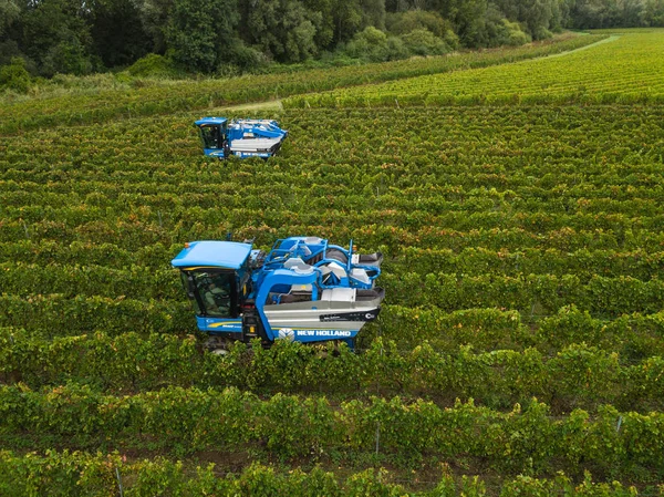 Francja, Gironde, wrzesień, 26-2019, Mechaniczne zbiory z czterema maszynami do sprzedaży, Aoc Bordeaux, Vineyard Bordelais, Gironde, Akwitania — Zdjęcie stockowe