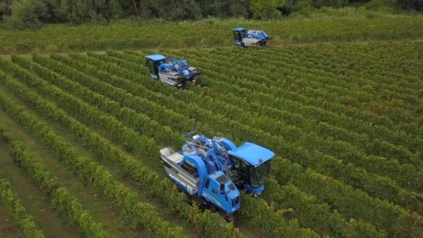 Francia, Gironda, septiembre, 26-2019, cosecha mecánica con cuatro máquinas para la venta, Aoc Bordeaux, Vineyard Bordelais, Gironde, Aquitania — Vídeos de Stock