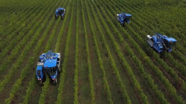 Frankrijk, Gironde, 26 september 2019, Mechanische oogst met vier machines voor de verkoop, Aoc Bordeaux, Wijngaard Bordelais, Gironde, Aquitaine — Stockvideo