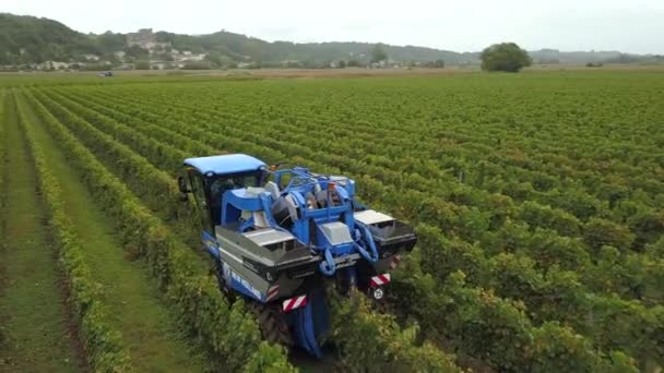 Francie, Gironde, září, 26-2019, Mechanická sklizeň se čtyřmi stroji na prodej, Aoc Bordeaux, Vineyard Bordelais, Gironde, Aquitaine — Stock video