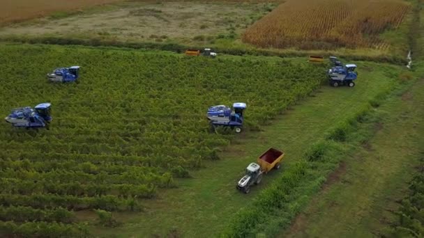 Frankrijk, Gironde, 26 september 2019, Mechanische oogst met vier machines voor de verkoop, Aoc Bordeaux, Wijngaard Bordelais, Gironde, Aquitaine — Stockvideo