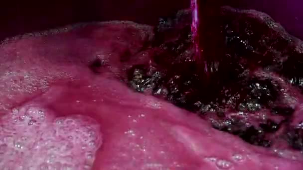 CELAR DE TRABAJO, VINIFICACIÓN Y REASAMBLEA DEL VINO TINTO EN BANCOS DE ACERO, JUGO DE GRAPE, VINO FRONDEAUX — Vídeos de Stock