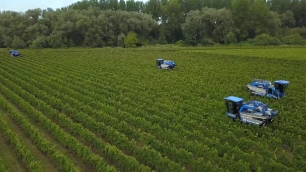 Francia, Gironda, septiembre, 26-2019, cosecha mecánica con cuatro máquinas para la venta, Aoc Bordeaux, Vineyard Bordelais, Gironde, Aquitania — Vídeo de stock