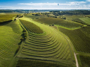 Fransa, Charente, Saint Preuil, Vue aerienne du vigNoble de Cognac