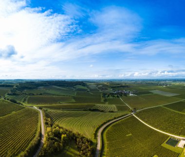 Fransa, Charente, Saint Preuil, Vue aerienne du vigNoble de Cognac