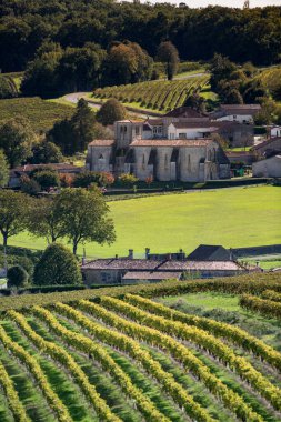 Konyak bağları, köy ve Saint Preuil Kilisesi, kaliteli şampanya.