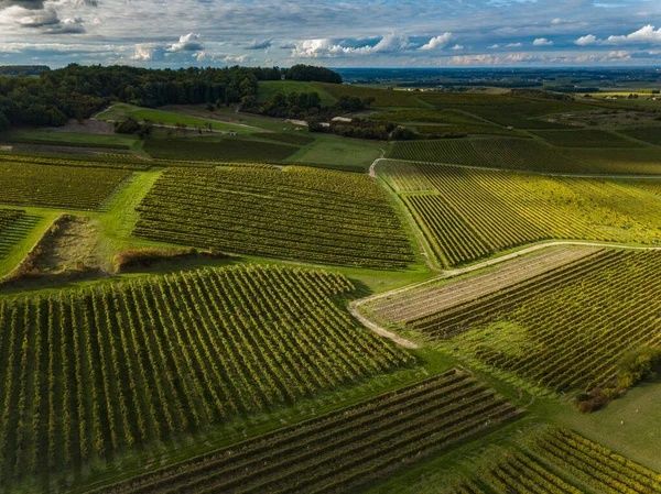 Francie, Charente, Saint Preuil, Vue aerienne du vignoble de Cognac — Stock fotografie