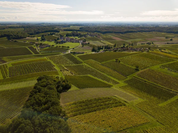 Francie, Charente, Saint Preuil, Vue aerienne du vignoble de Cognac — Stock fotografie