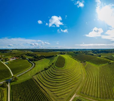 Fransa, Charente, Saint Preuil, Vue aerienne du vigNoble de Cognac