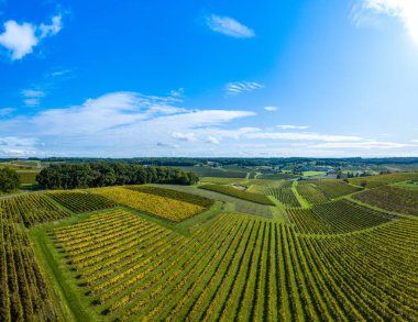 Fransa, Charente, Saint Preuil, Vue aerienne du vigNoble de Cognac