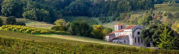 Bouteville, konyak bağları, köy ve Aziz Paul Kilisesi.