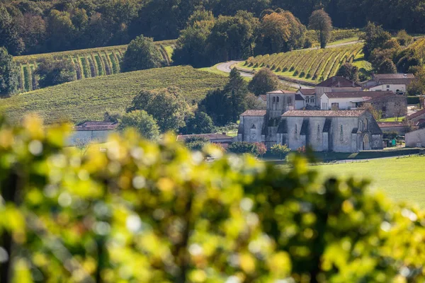 Vinha de conhaque, aldeia e Igreja de Saint Preuil, grande champanhe vintage — Fotografia de Stock