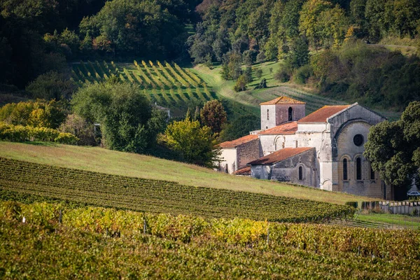 Bouteville, Koňak vinice, vesnice a kostel sv. Pavla — Stock fotografie