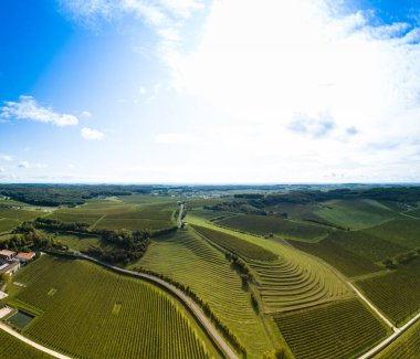 Fransa, Charente, Saint Preuil, Vue aerienne du vigNoble de Cognac