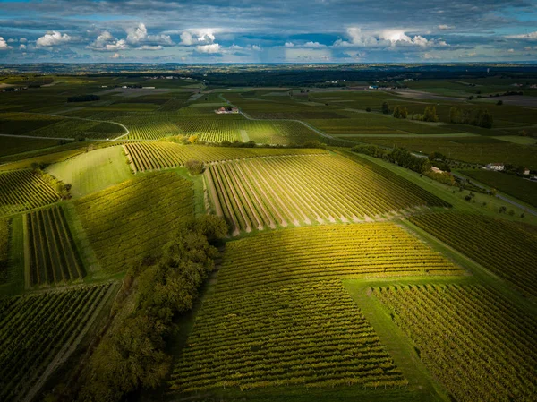 Francia, Charente, Saint Preuil, Vue aerienne du vignoble de Cognac —  Fotos de Stock