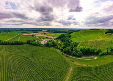 Hava manzarası, Günbatımı manzarası, Bordeaux şaraphanesi, Langoiran, Gironde, Fransa