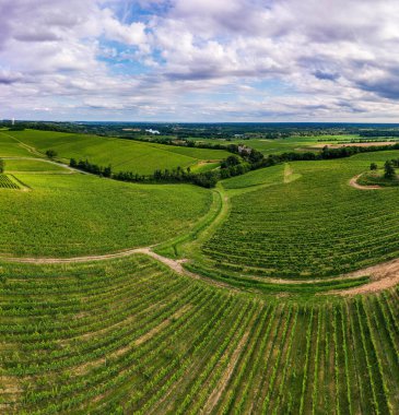 Hava manzarası, Günbatımı manzarası, Bordeaux şaraphanesi, Langoiran, Gironde, Fransa