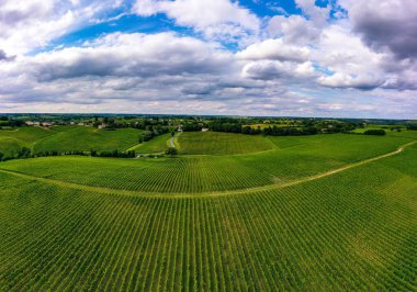 Hava manzarası, Günbatımı manzarası, Bordeaux şaraphanesi, Langoiran, Gironde, Fransa