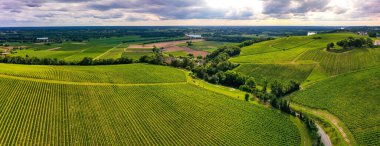 Hava manzarası, Günbatımı manzarası, Bordeaux şaraphanesi, Langoiran, Gironde, Fransa